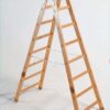 Scala Trevigiana a 12 gradini in legno IPPIS