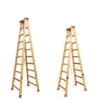 Scala Trevigiana a 12 gradini in legno IPPIS
